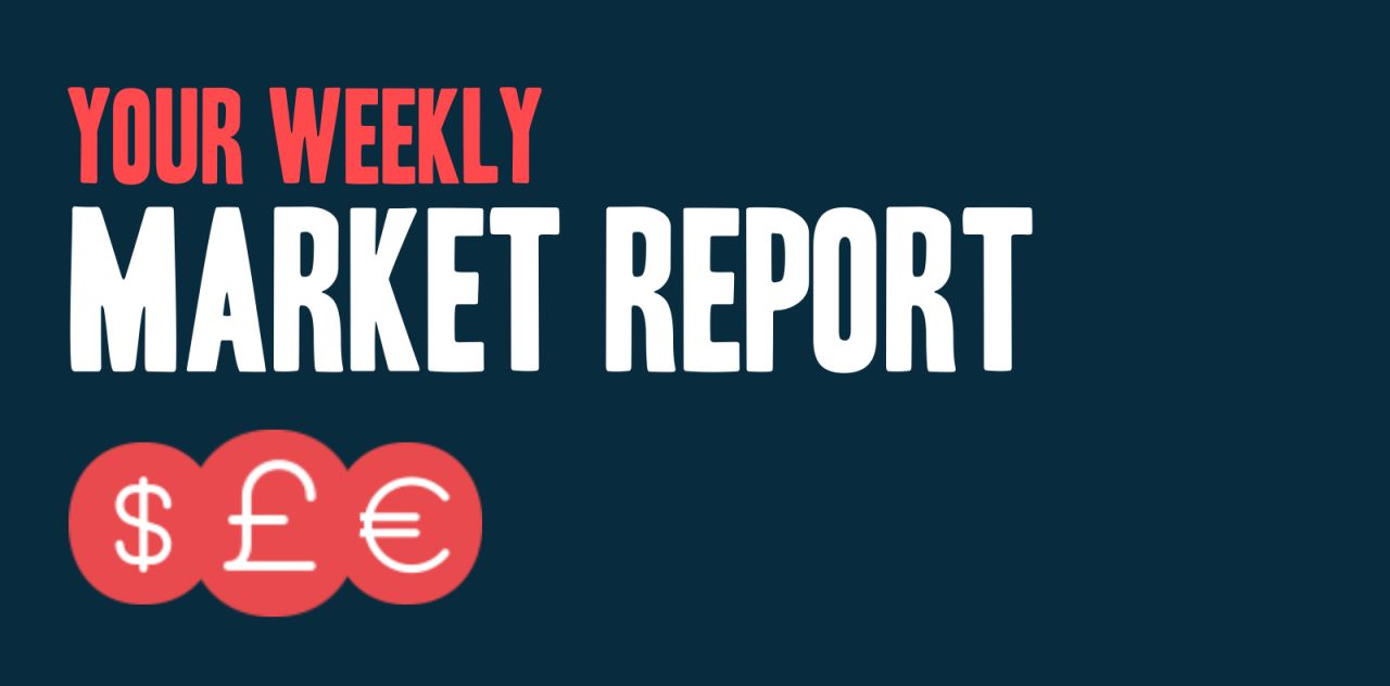  Market Report 