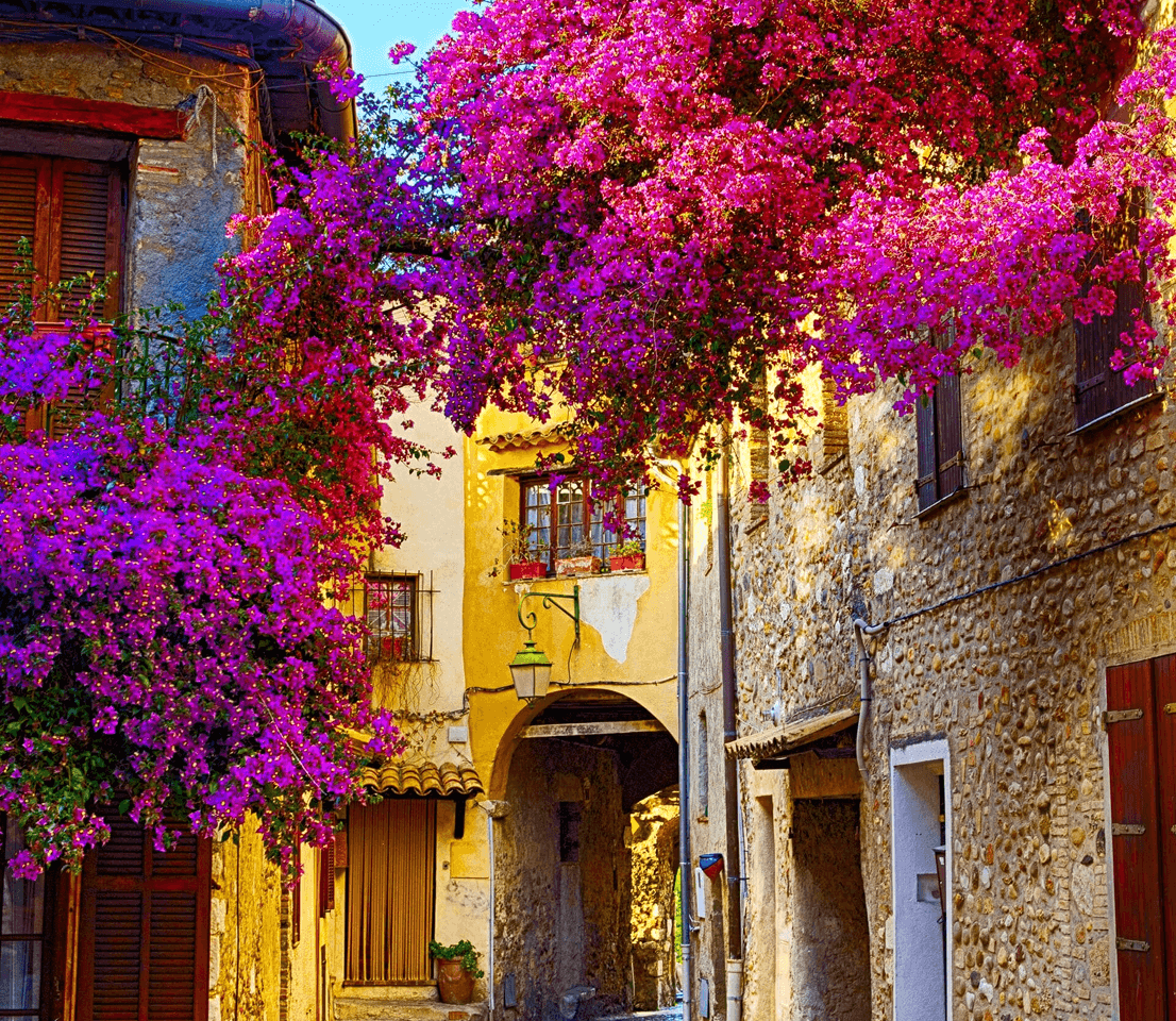 French village with purple flowers