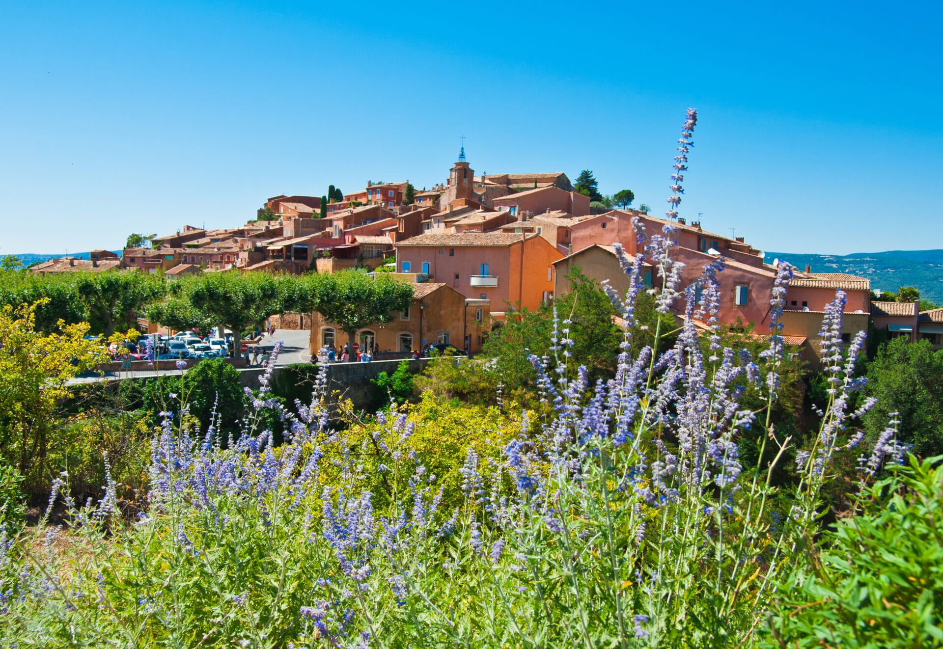 Local expertise to help navigate France's bureaucracy